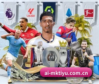mk体育在线 APP（MKSPORTS）